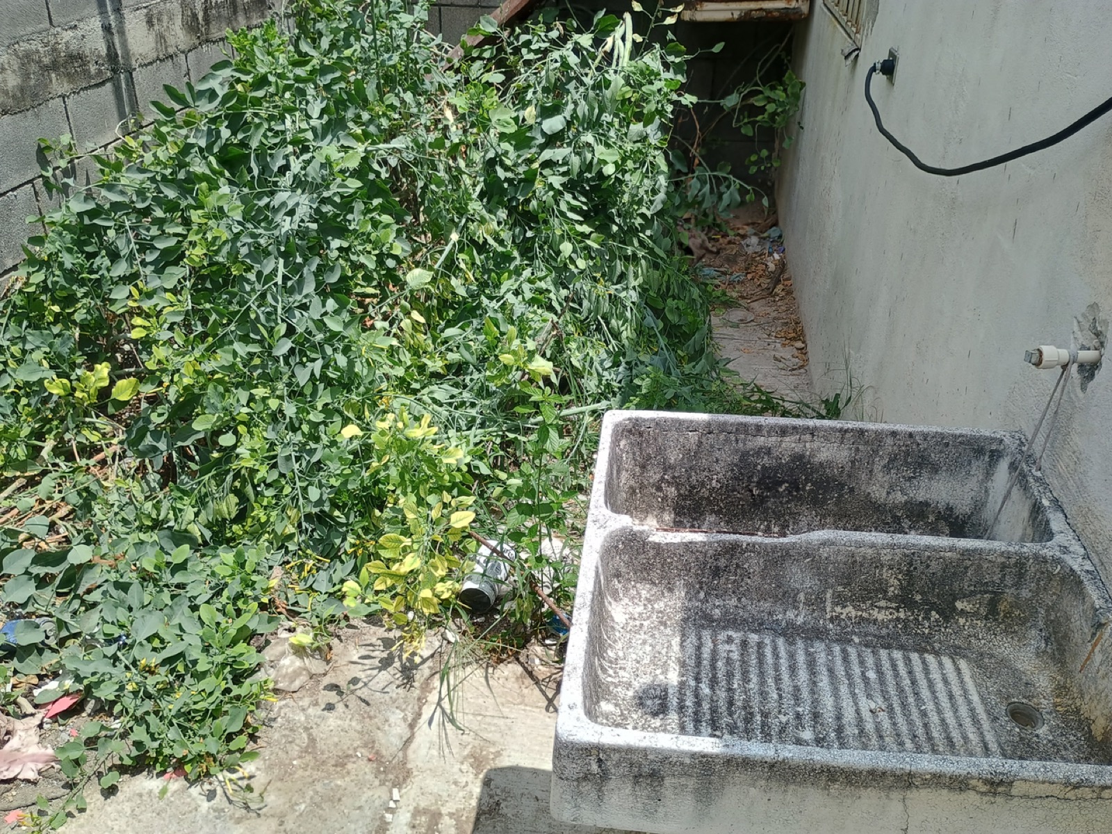 Casa en venta en Paseo Las Margaritas, Juárez — foto 5