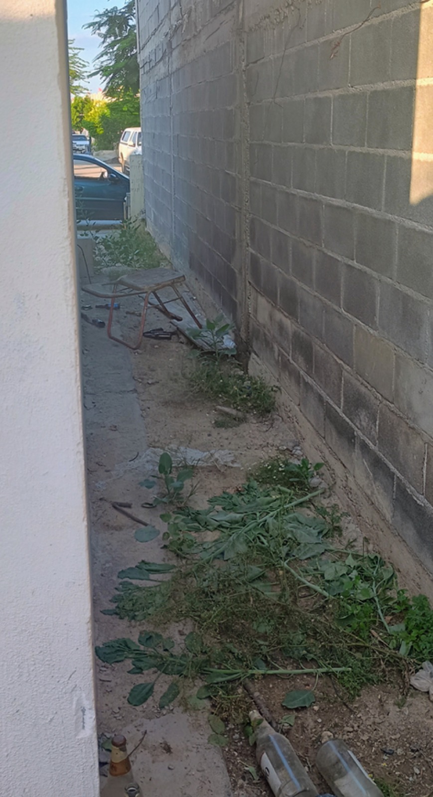 Casa en venta en Pilares, Salinas Victoria — foto 8